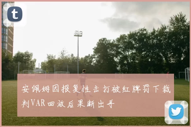 安佩姆因报复性击打被红牌罚下裁判VAR回放后果断出手