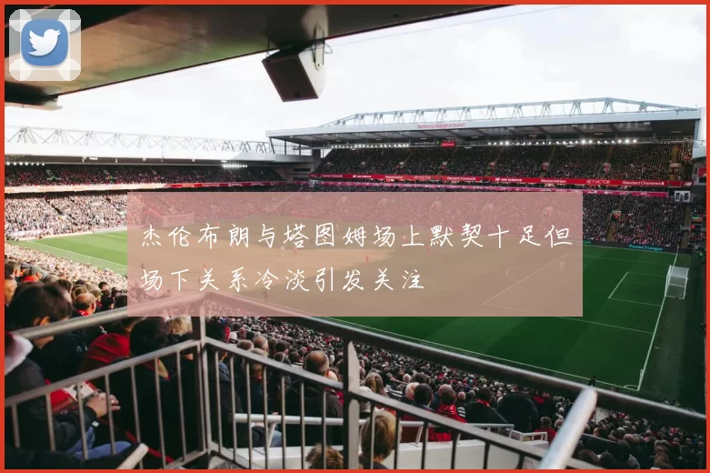 杰伦布朗与塔图姆场上默契十足但场下关系冷淡引发关注